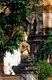 Thailand: Stone thewada (angel) figure, Wat Chiang Man, Chiang Mai